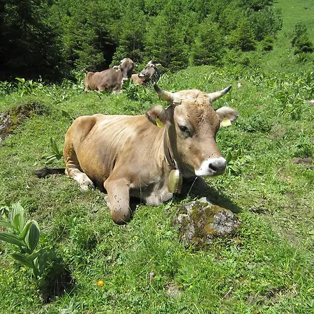 Апартаменты Haus Wallner Клёстерле