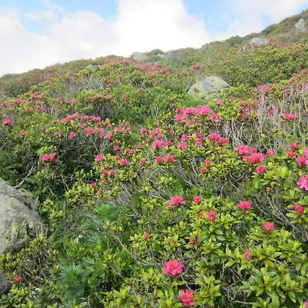 Haus Wallner Апартаменты Клёстерле