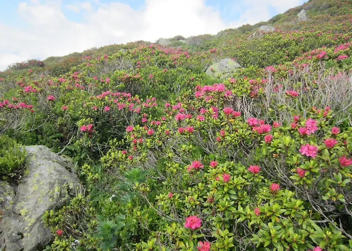 Haus Wallner Apartment Klosterle am Arlberg